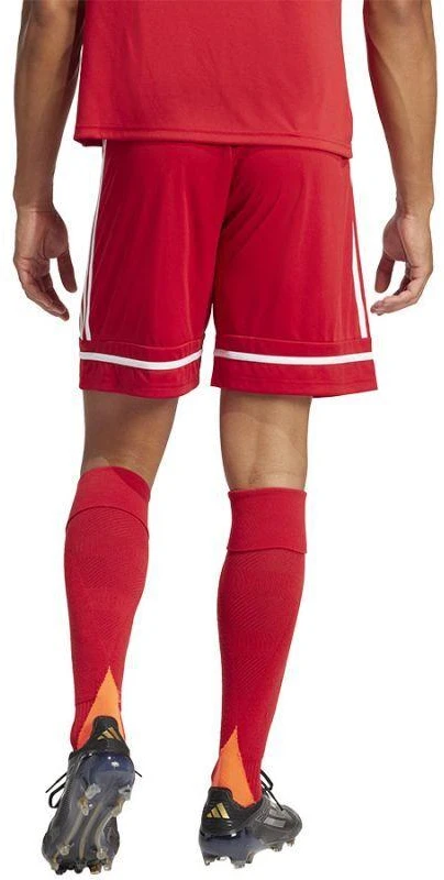 adidas Squadra M 25 Šortai JN5466 futbolo šortai