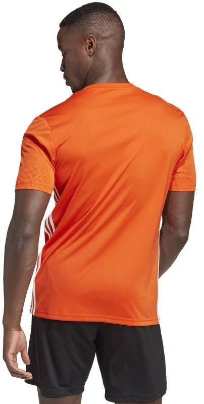 adidas Stalo 23 Marškiniai M IB4927
