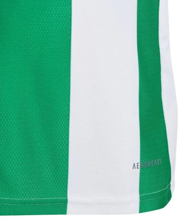Adidas Striped 24 Jr marškinėliai IW2138