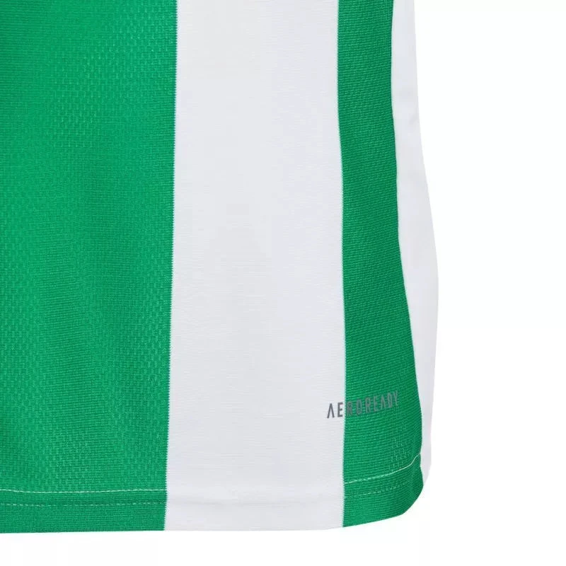 Adidas Striped 24 Jr marškinėliai IW2138