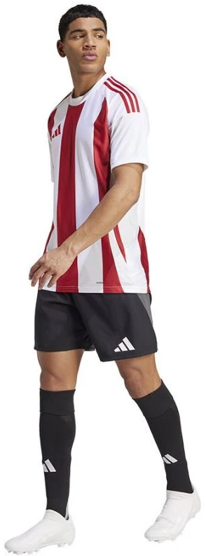 Adidas Striped 24 JSY M marškinėliai IW2142