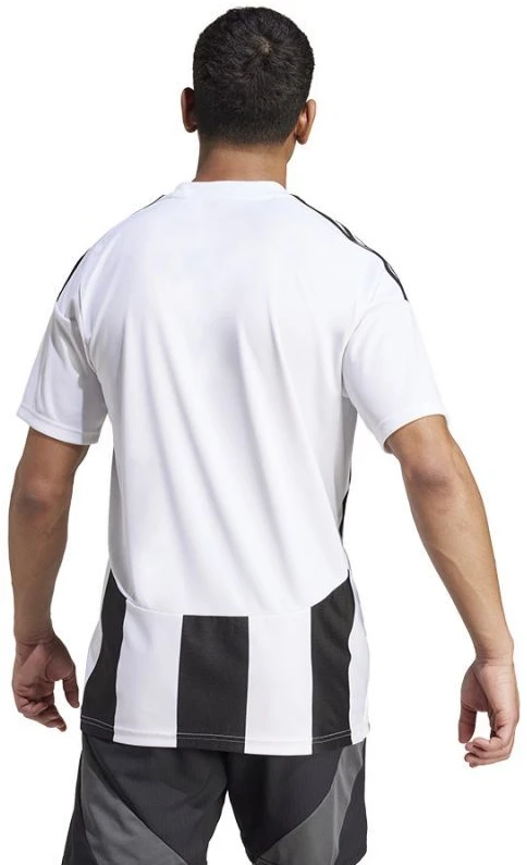 Adidas Striped 24 JSY M marškinėliai IW2143
