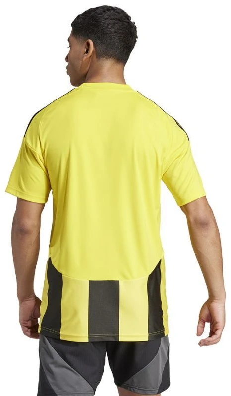 Adidas Striped 24 JSY M marškinėliai IW2146