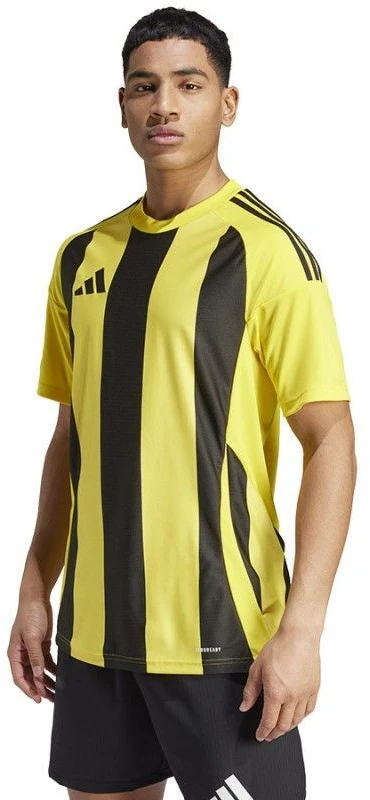 Adidas Striped 24 JSY M marškinėliai IW2146