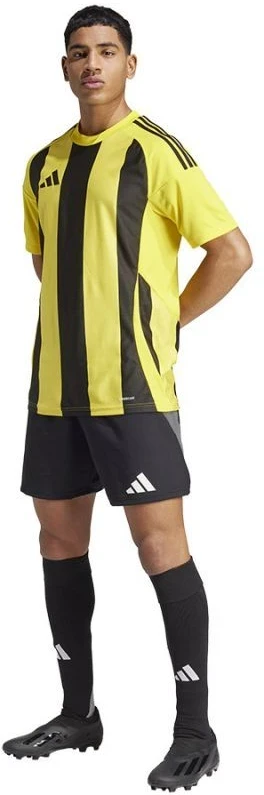 Adidas Striped 24 JSY M marškinėliai IW2146