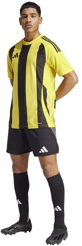 Adidas Striped 24 JSY M marškinėliai IW2146