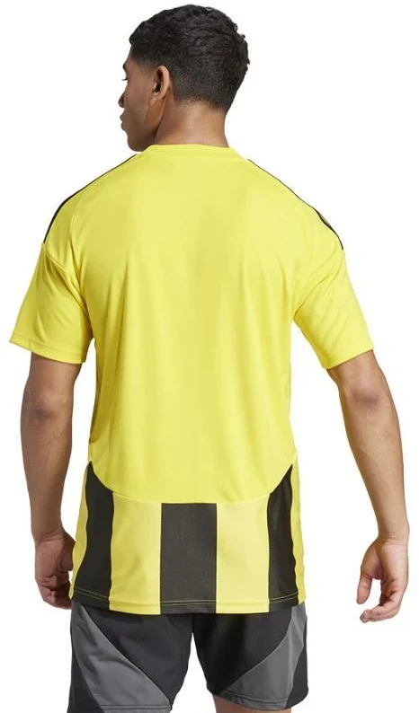 Adidas Striped 24 JSY M marškinėliai IW2146