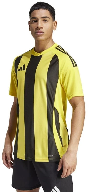 Adidas Striped 24 JSY M marškinėliai IW2146