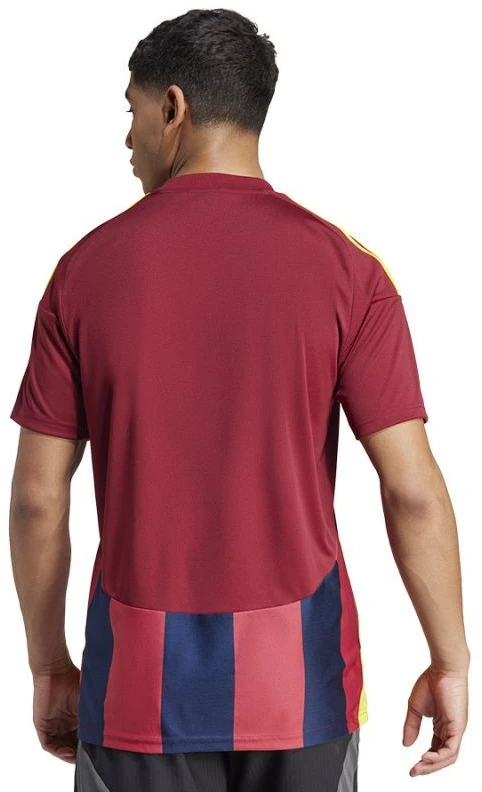 Adidas Striped 24 JSY M marškinėliai IW2149