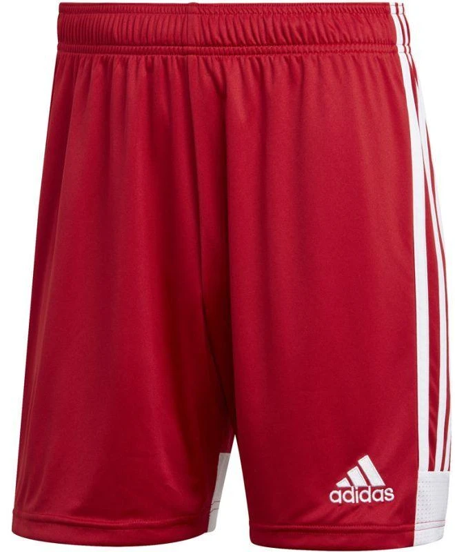 adidas Tastigo 19 Šortai M DP3681