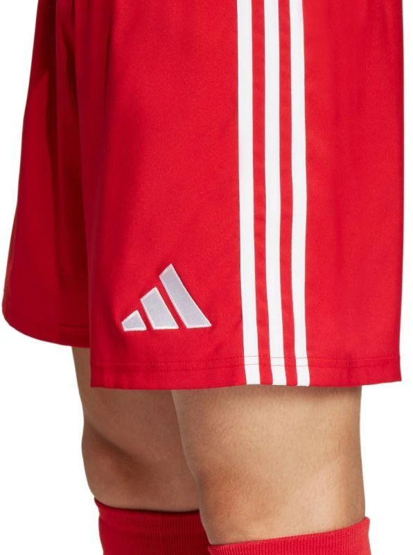adidas Tastigo 25 M JN7157 šortai