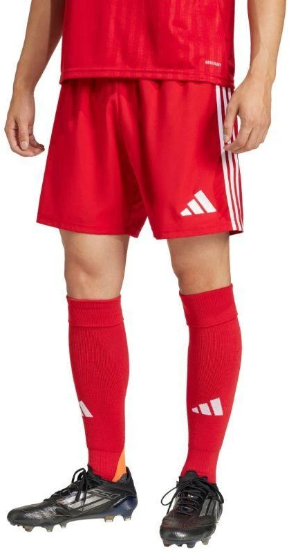 adidas Tastigo 25 M JN7157 šortai