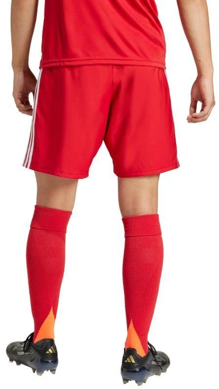 adidas Tastigo 25 M JN7157 šortai