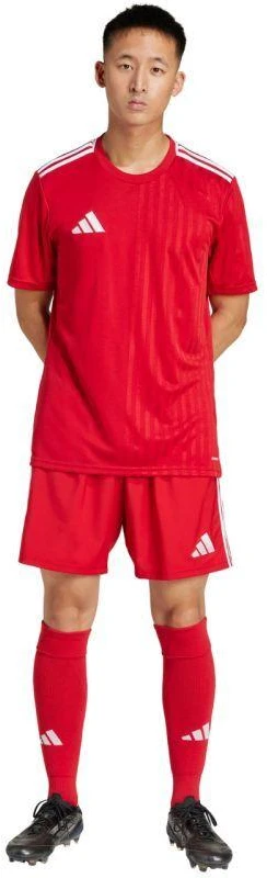 adidas Tastigo 25 M JN7157 šortai