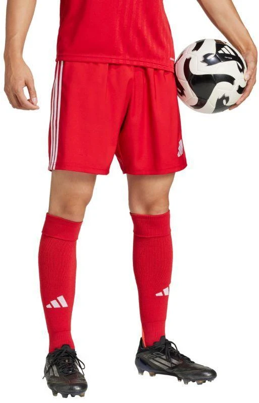 adidas Tastigo 25 M JN7157 šortai