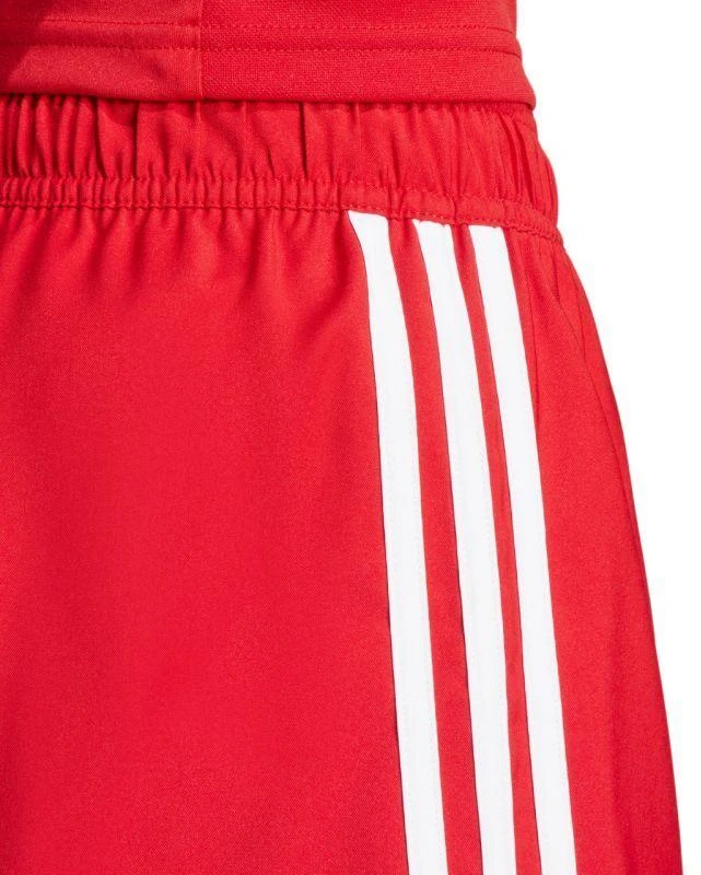 adidas Tastigo 25 M JN7157 šortai