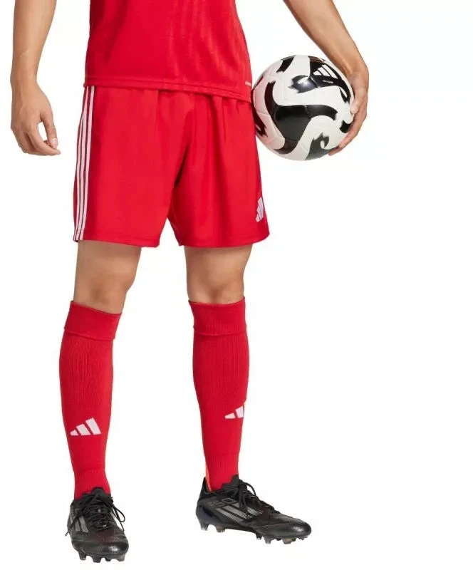 adidas Tastigo 25 M JN7157 šortai