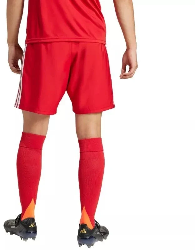 adidas Tastigo 25 M JN7157 šortai