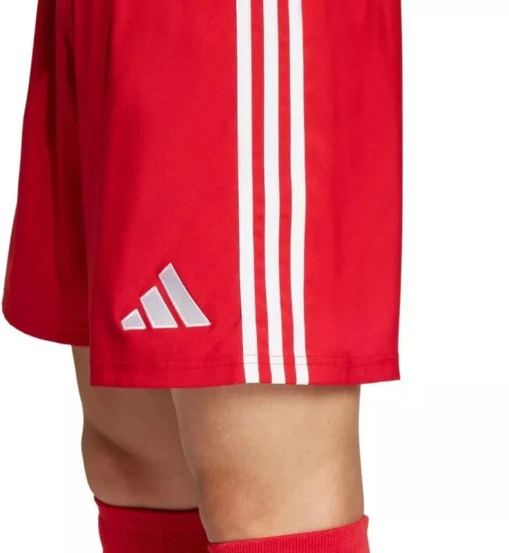 adidas Tastigo 25 M JN7157 šortai