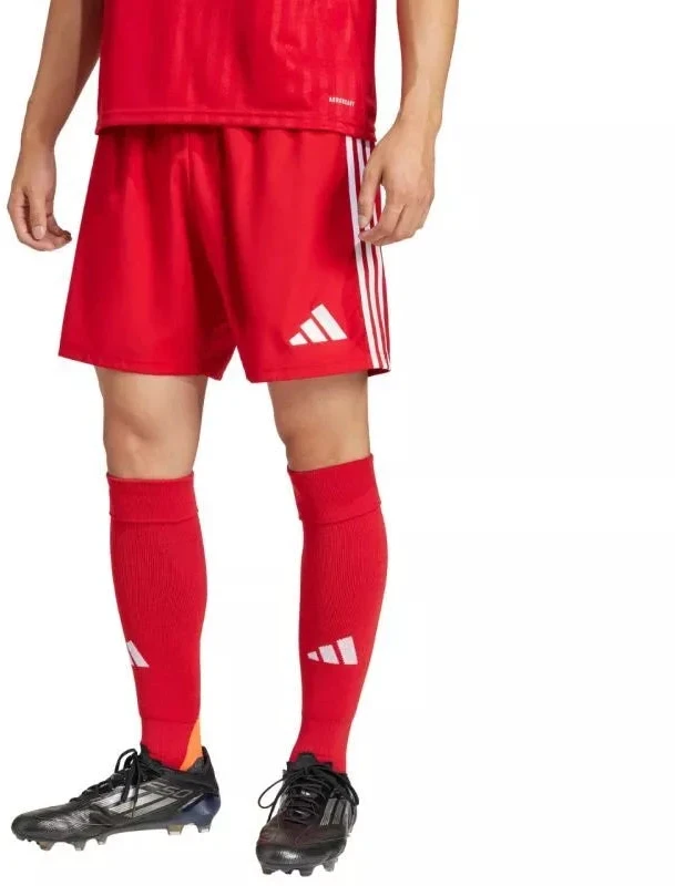 adidas Tastigo 25 M JN7157 šortai