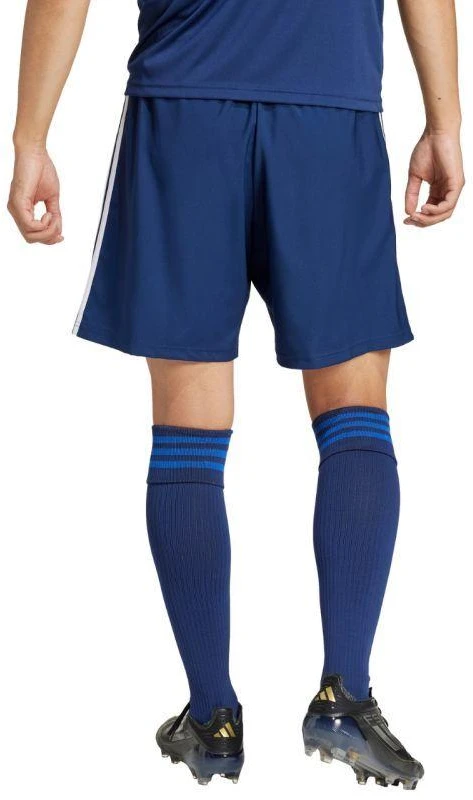 adidas Tastigo 25 M JN7158 šortai