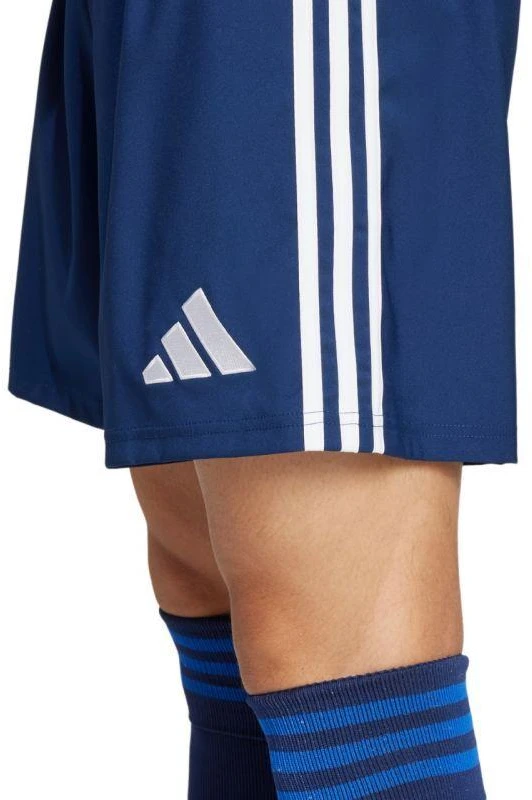 adidas Tastigo 25 M JN7158 šortai