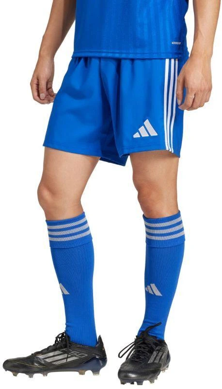 adidas Tastigo 25 M JN7159 šortai