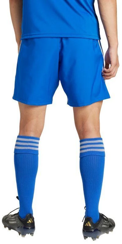 adidas Tastigo 25 M JN7159 šortai
