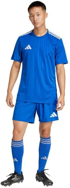 adidas Tastigo 25 M JN7159 šortai