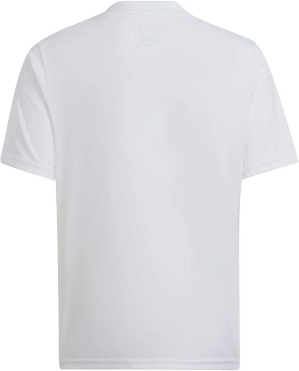 adidas Team Icon 23 Jaunimo T-marškinėliai HR2651