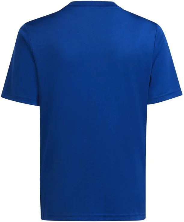 adidas Team Icon 23 Jr marškinėliai HR2654