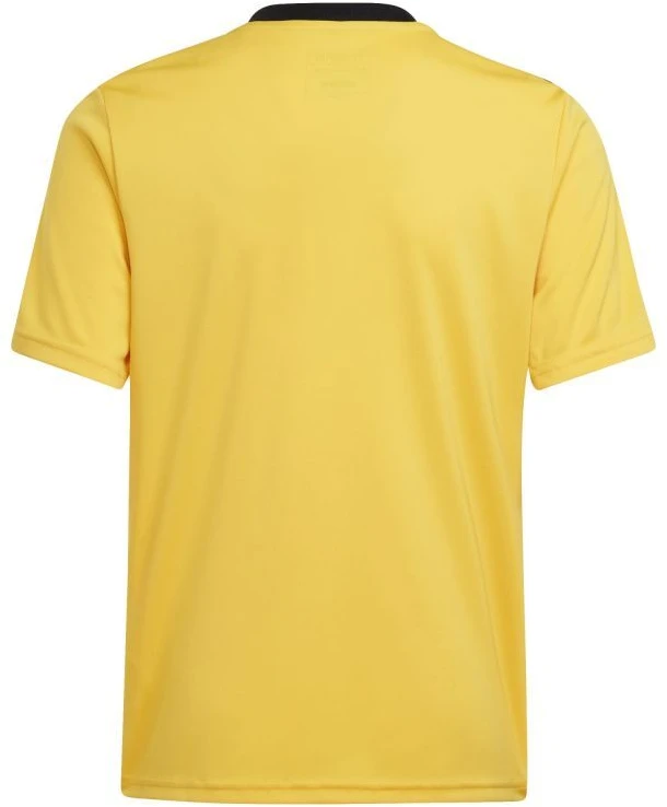 Adidas Team Icon 23 Jr marškinėliai IC1253