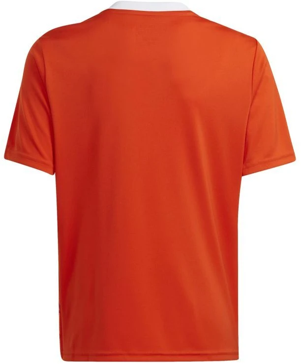 Adidas Team Icon 23 Jr marškinėliai IC1254