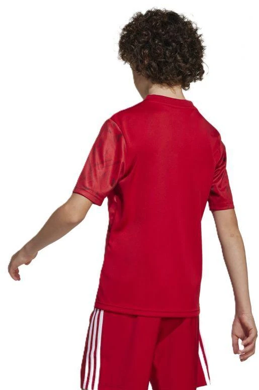 adidas Team Icon 25 Jr JM8362 Marškinėliai
