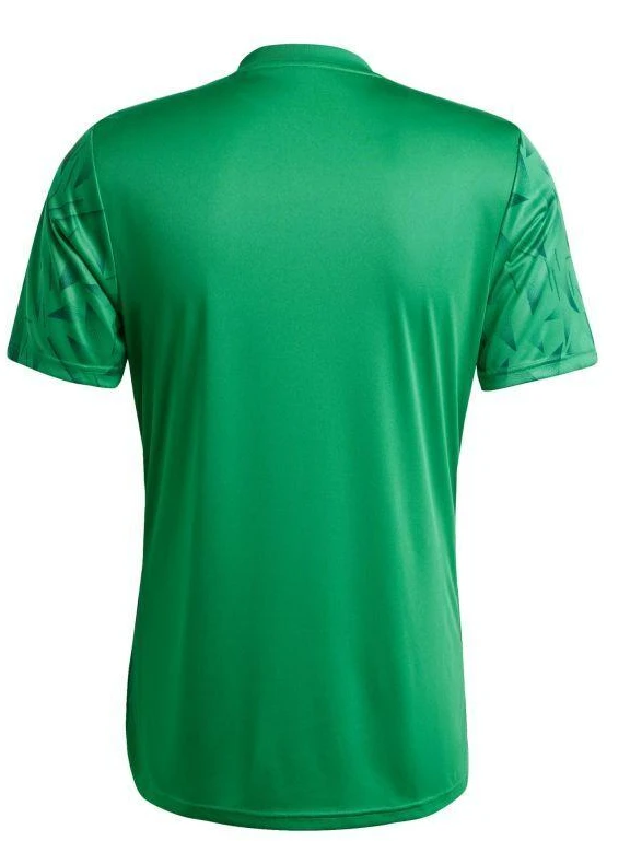 adidas Team Icon 25 M marškinėliai JG3552
