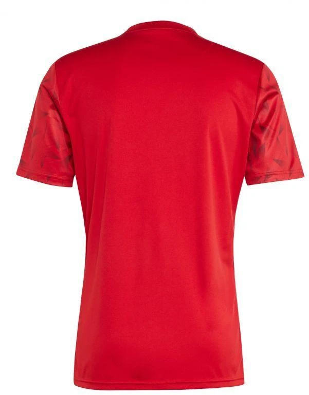 adidas Team Icon 25 M marškinėliai JM8360
