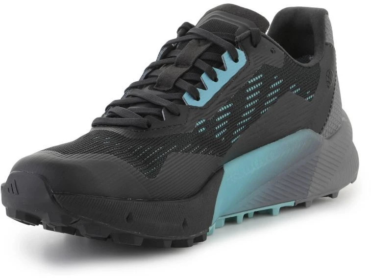 Adidas Terrex Agravic Flow 2 GTX M H03382 batai