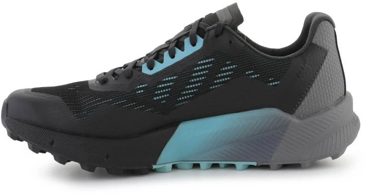 Adidas Terrex Agravic Flow 2 GTX M H03382 batai