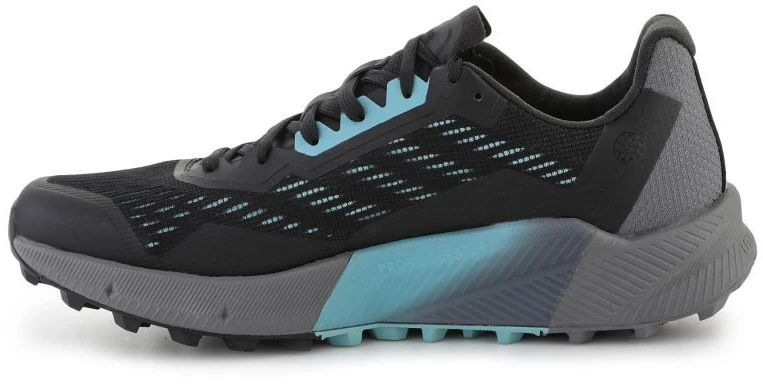 Adidas Terrex Agravic Flow 2 W batai H03189
