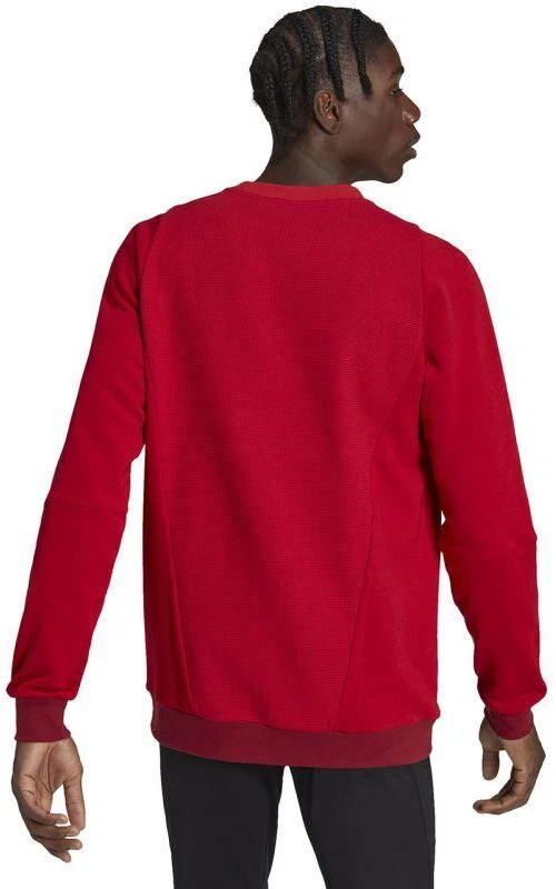 Adidas Tiro 23 Competition Crew M HI4709 džemperis