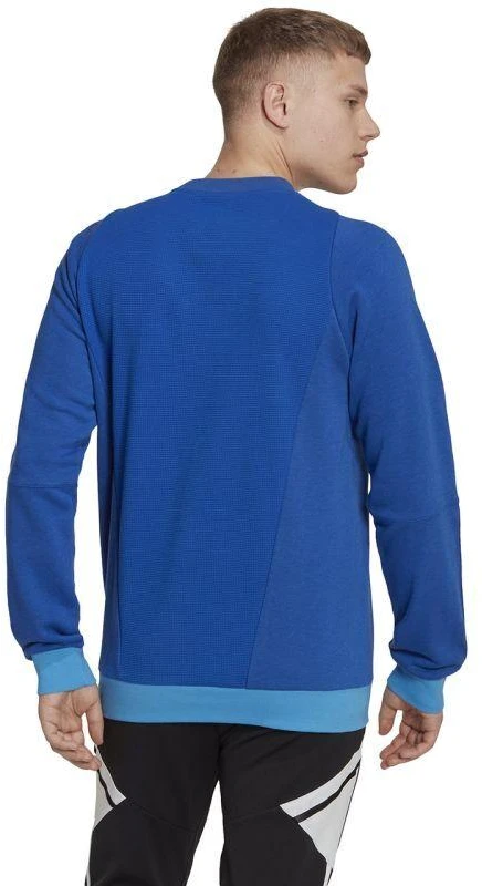 Adidas Tiro 23 Competition Crew M HU1325 džemperis