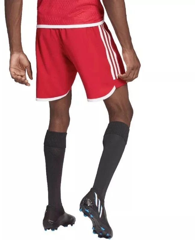 adidas Tiro 23 Competition Match vyriški šortai raudoni HL4790