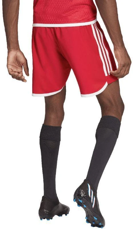 adidas Tiro 23 Competition Match vyriški šortai raudoni HL4790