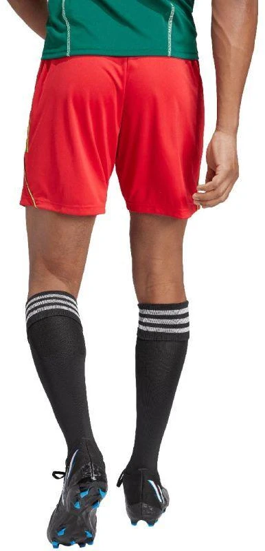 adidas Tiro 23 League M IB8090 Šortai