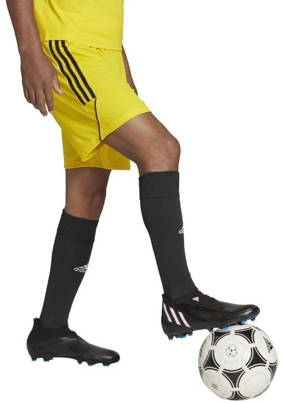 adidas Tiro 23 League vyriškos trumpikės M IB8085