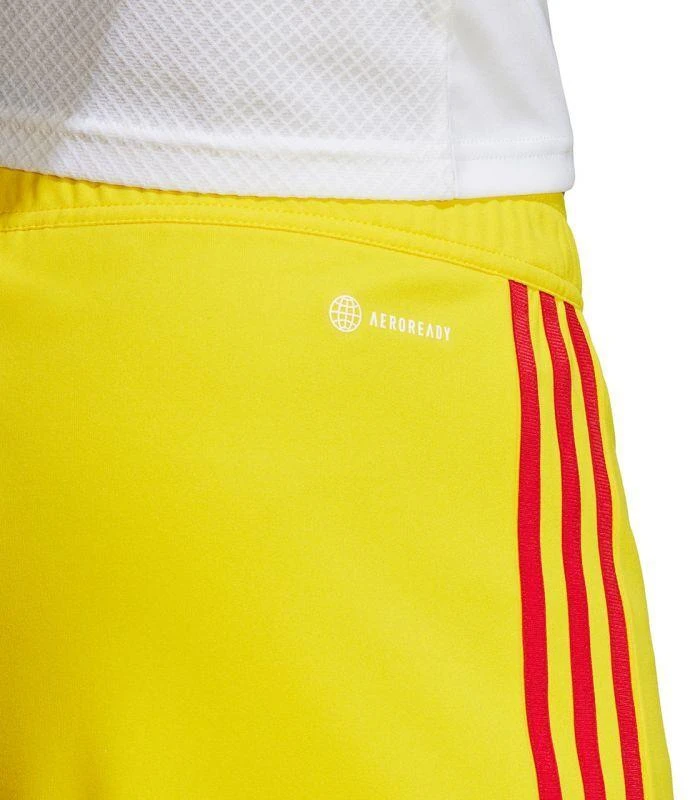adidas Tiro 23 Lyga M IB8091 Šortai