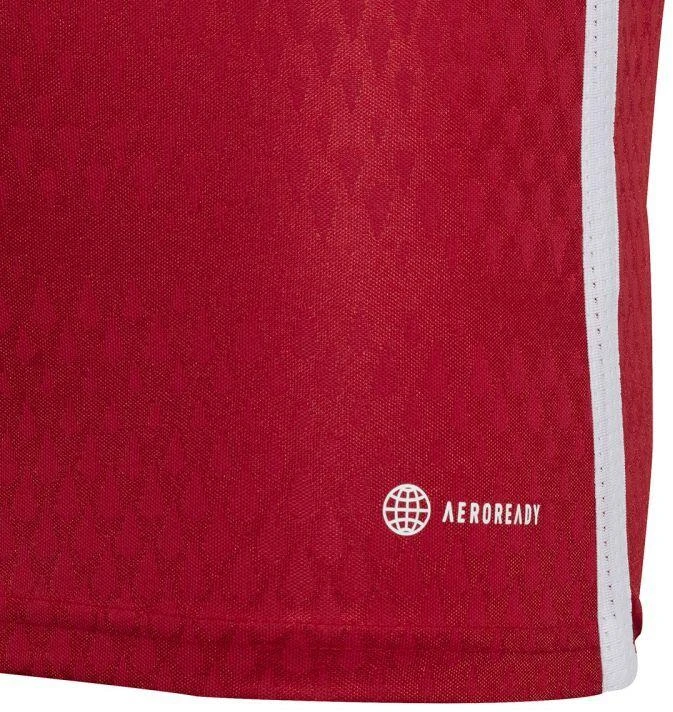 adidas Tiro 23 varžybų marškinėliai raudoni IC7457