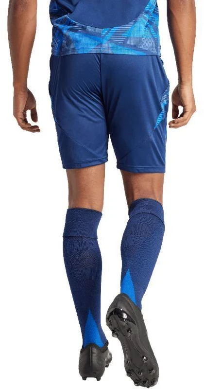 adidas Tiro 24 Competition Match M IQ4754 Šortai