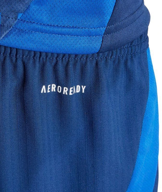adidas Tiro 24 Competition Match M IQ4754 Šortai