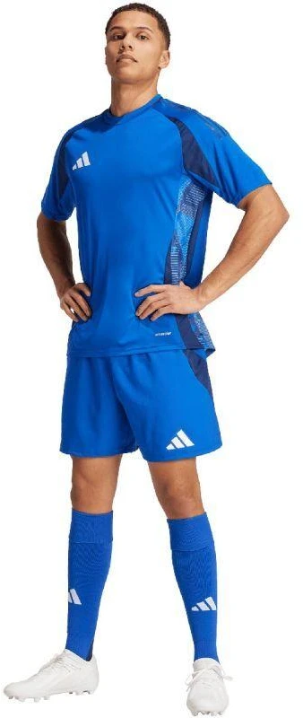 Adidas Tiro 24 Competition treniruočių M šortai IQ4755